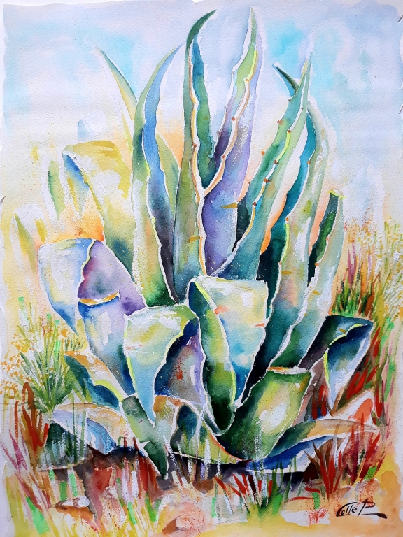 AGAVE opera del M° Pasquale Colle