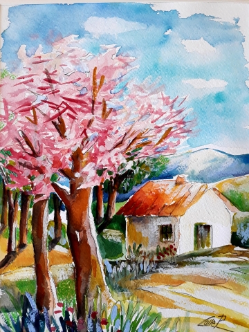 PRIMAVERA da collezione le 4 stazioni  P.Colle