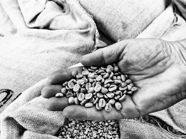 Caffè