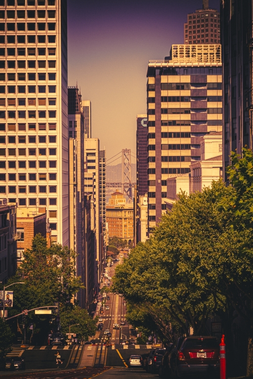 CALIFORNIA STREET