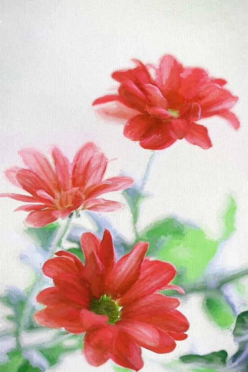 Acquerello con fiori rossi