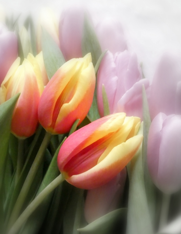 danza di primavera