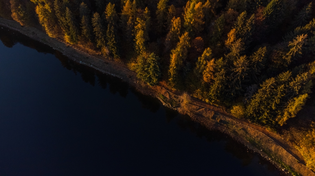 Autunno