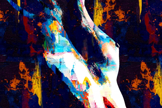 Body colors