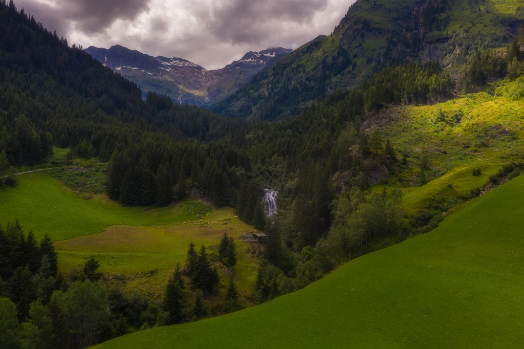 Verde