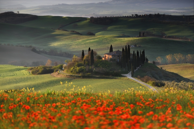 Primavera in Val d'Orcia