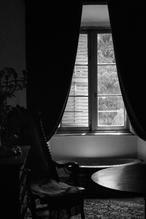 The window series #3