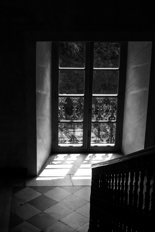 The window series #4