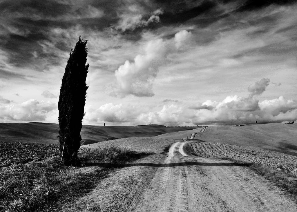 Waves of silence
