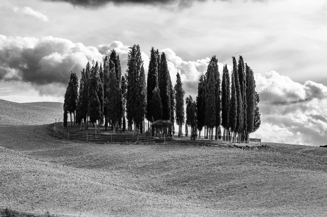 Waves of silence