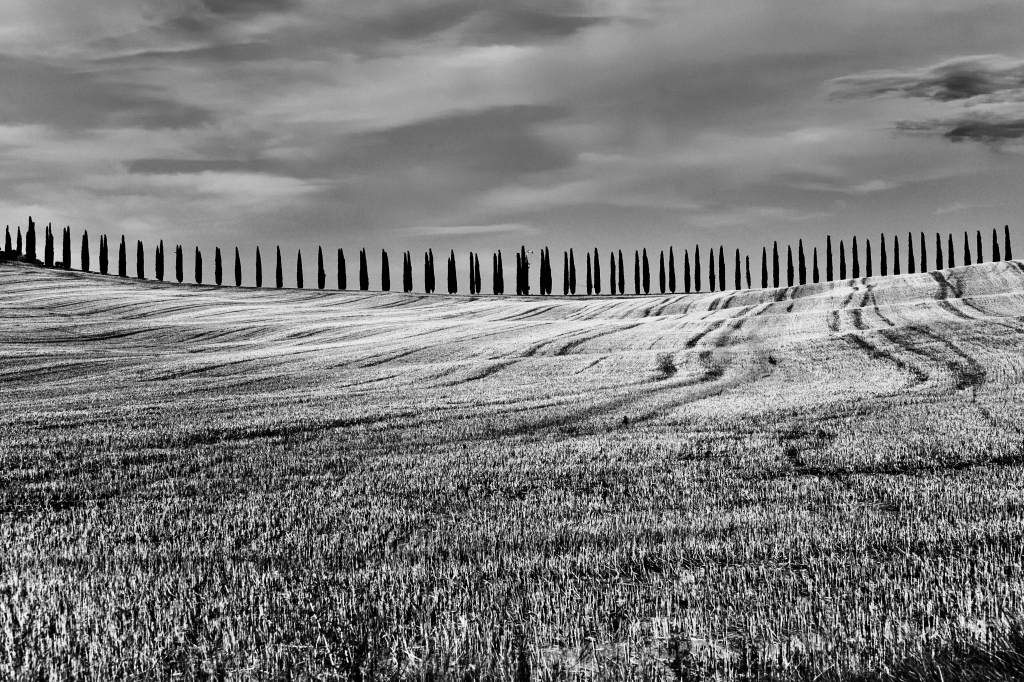 Waves of silence
