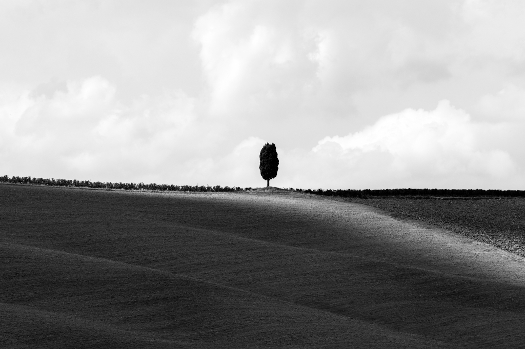 Waves of silence