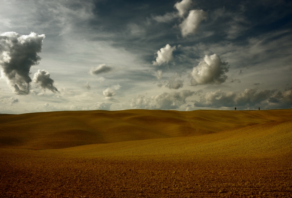 Waves of silence