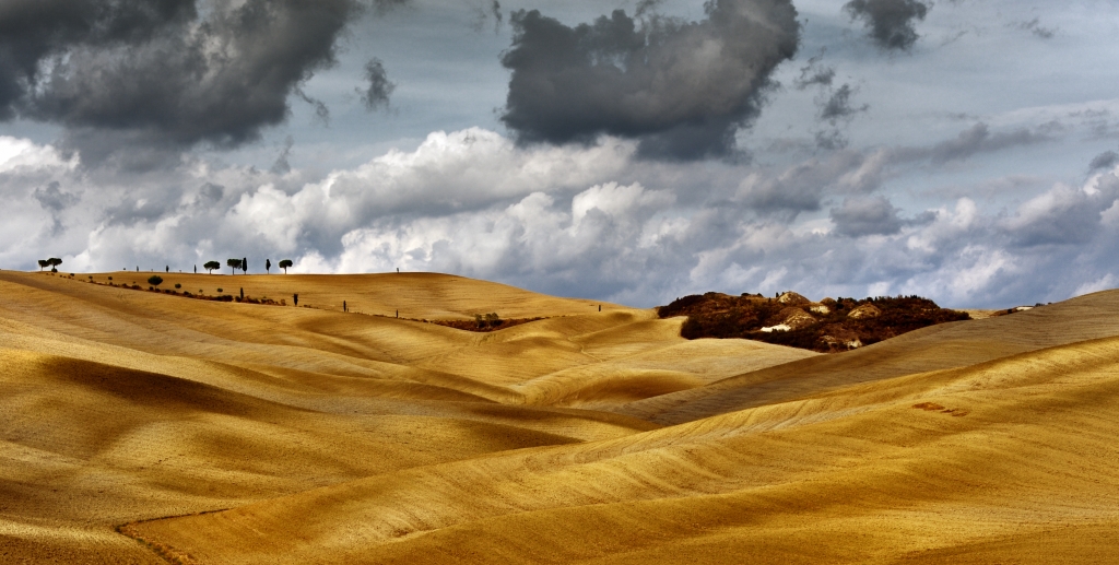Waves of silence