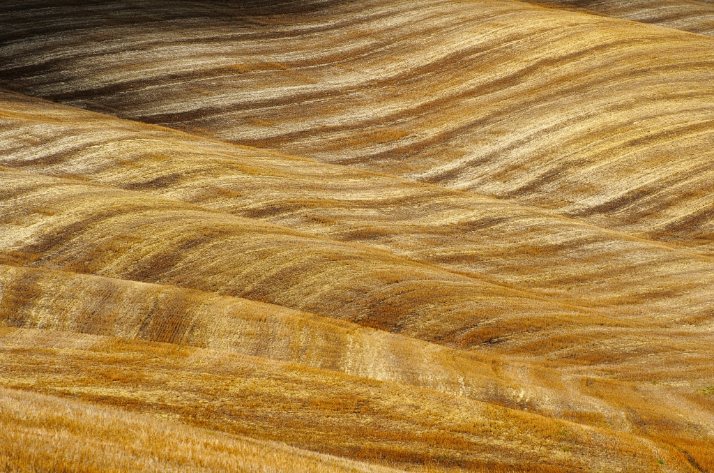 Waves of silence
