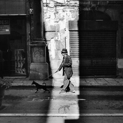 lights and shadows