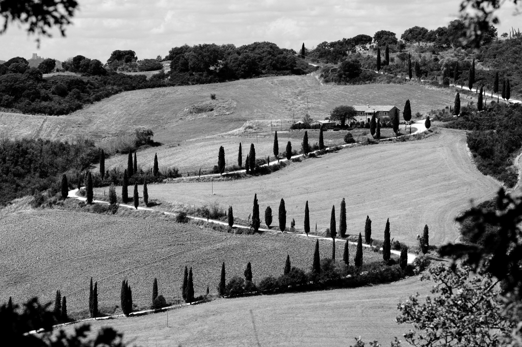 Strada di cipressi