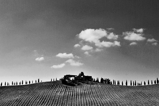 horizon line