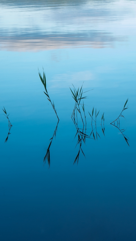 Riflesso nel lago