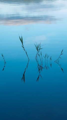 Riflesso nel lago