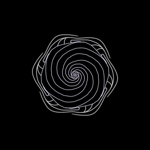 • Spiralcyprus •