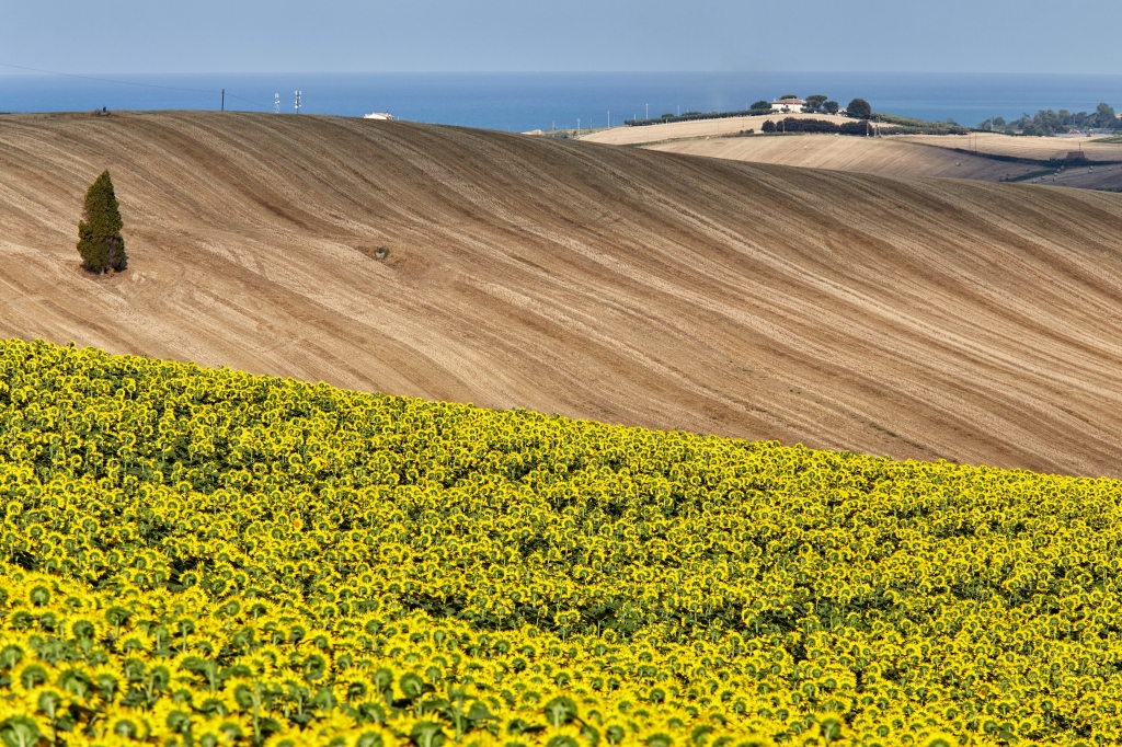 Tra mare e campagna