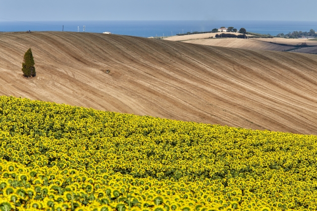 Tra mare e campagna