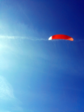 Fly #1