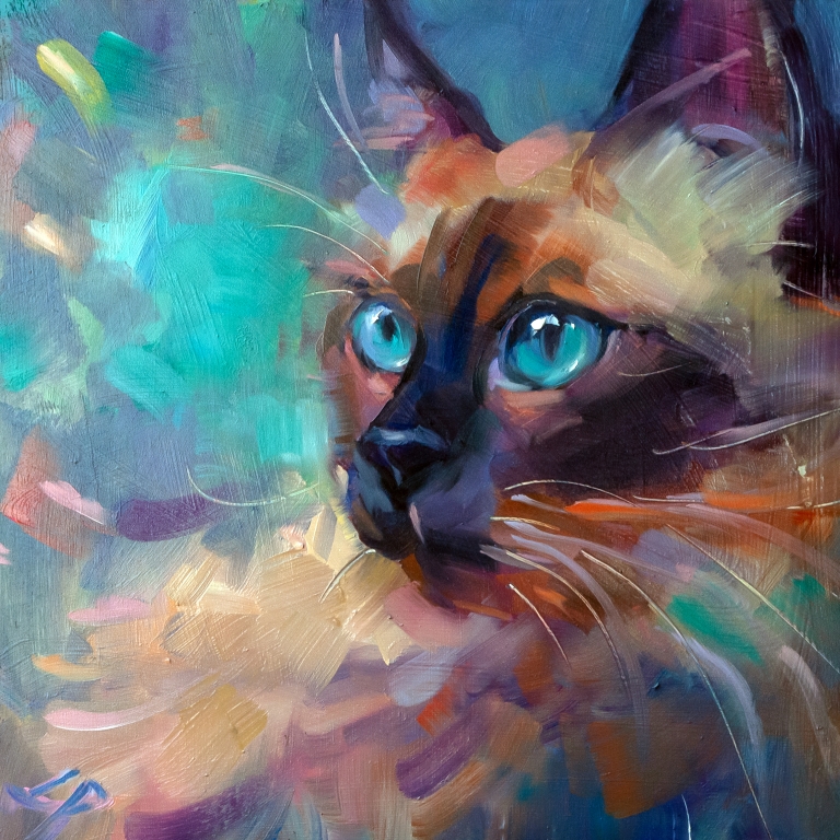 Siamese Cat