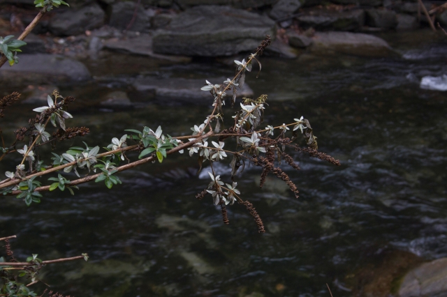 Dove scorre il fiume