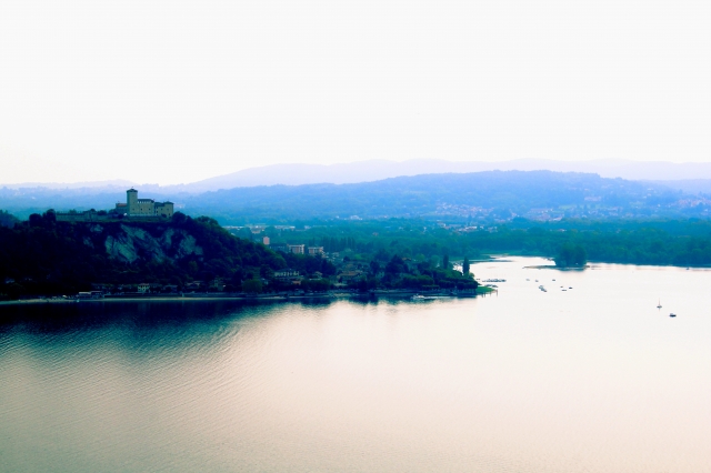 Arona