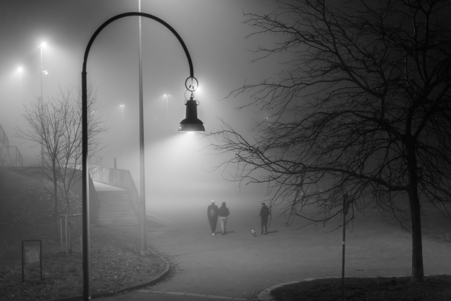 Nebbia sui navigli