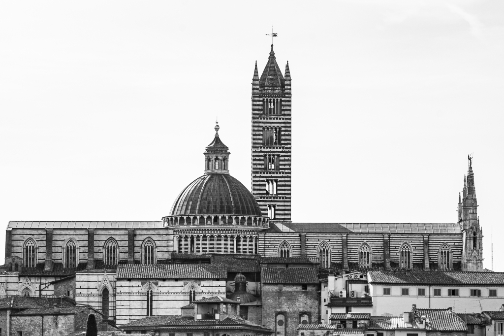 Silenzio di pietra, Siena