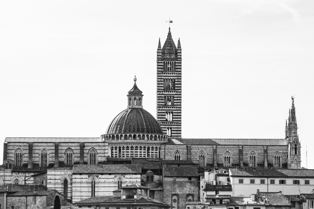 Silenzio di pietra, Siena