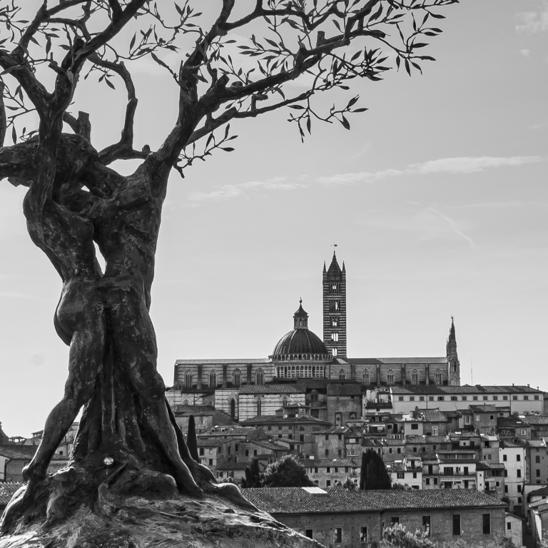 Siena, un abbraccio tra natura e storia