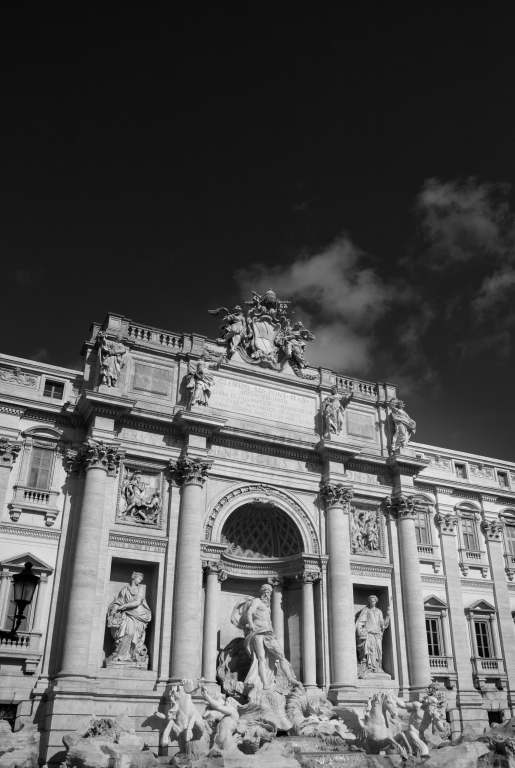 bianco e nero della Fontana di Trevi