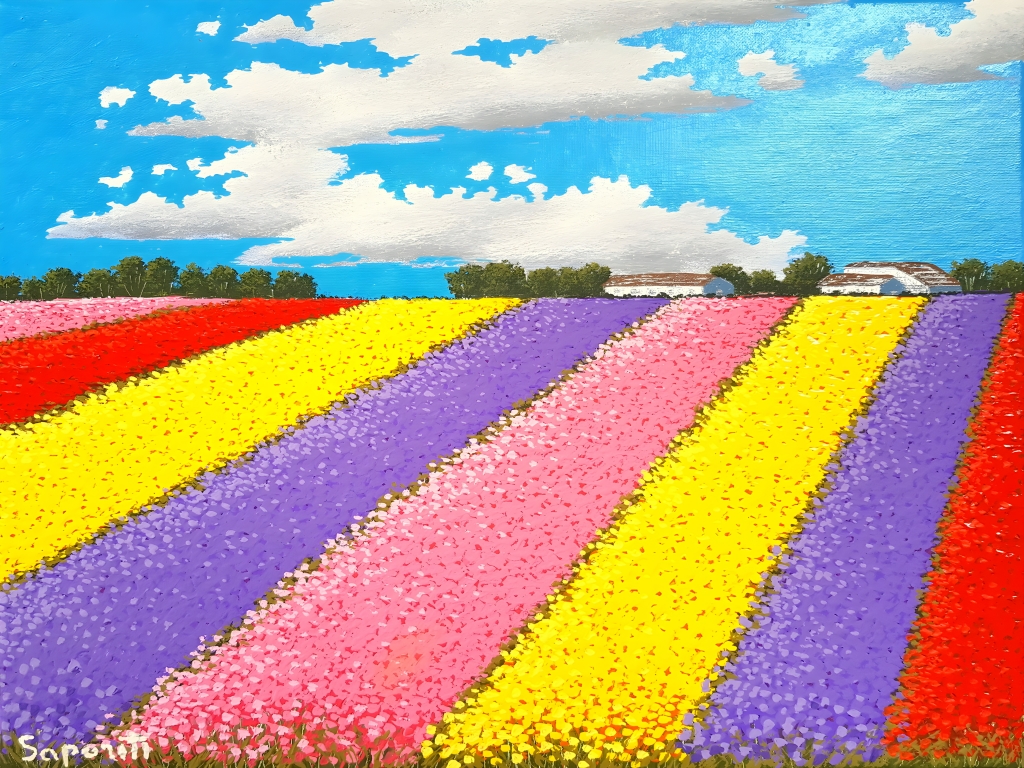 Campo di tulipani