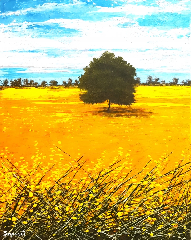 Campo giallo