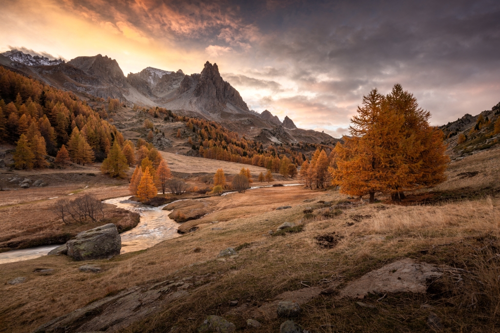 Autumn colours