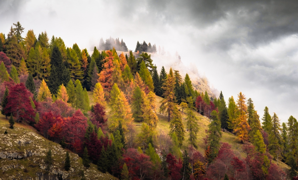 Autumn colours