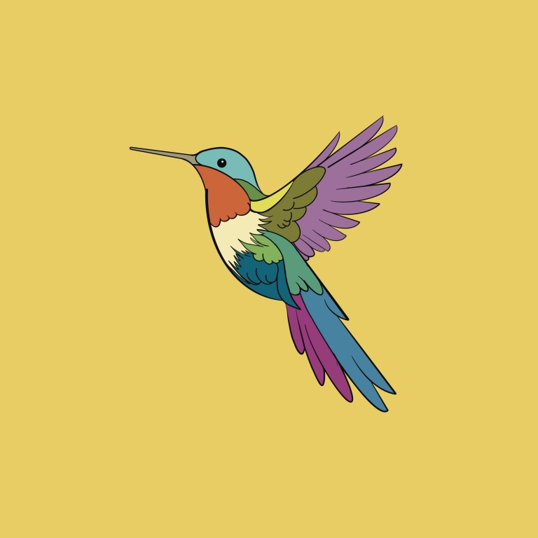 rainbow birds