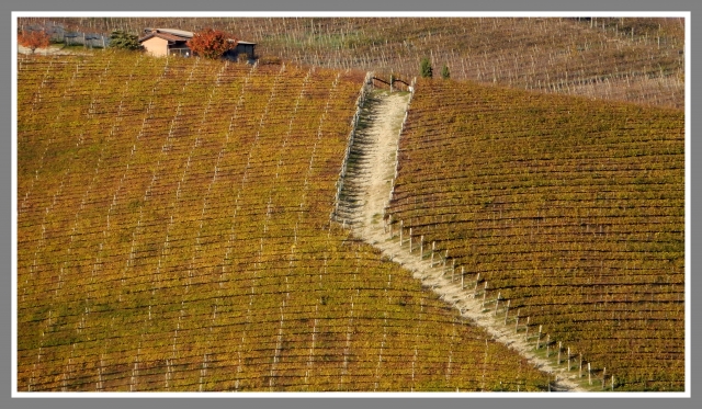 autunno nelle langhe