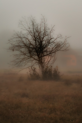 Fotografia su tela