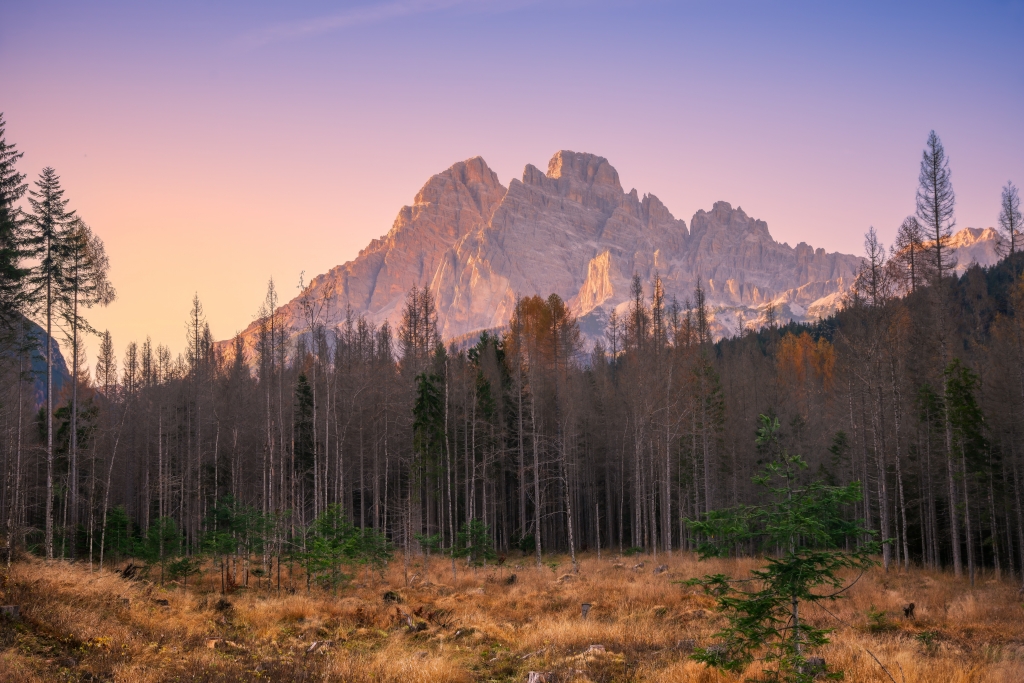 Foresta di Somadida al tramonto