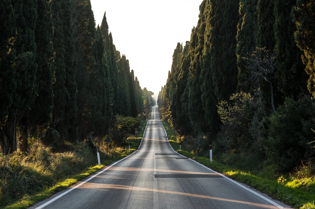 Bolgheri road