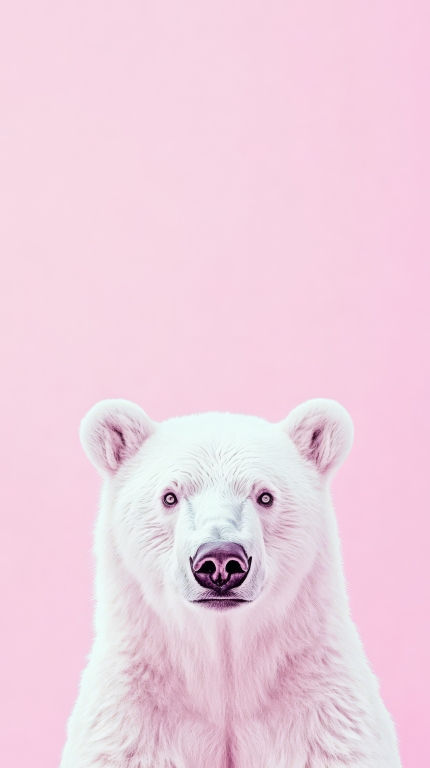 Polar bear portrait