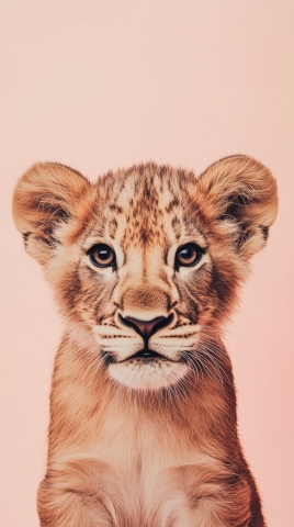 Re Leone