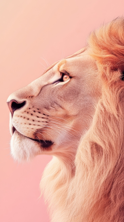 The Lion King