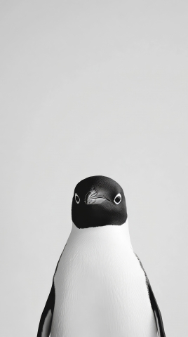 Pinguino