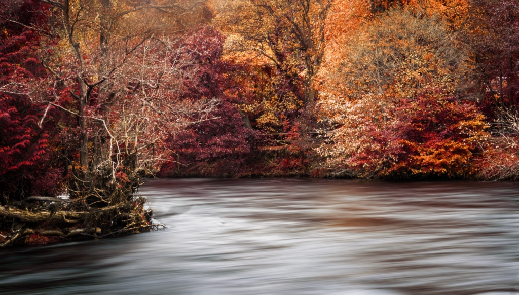 The Magic of Scottish Autumn